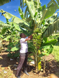 Children in Uganda served by the St. Kizito Uganda Fund